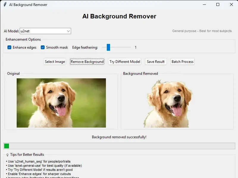 Background Remover